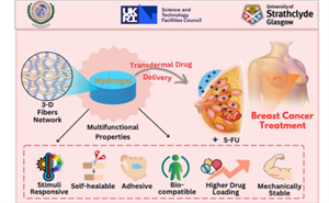 A visual abstract of the study.