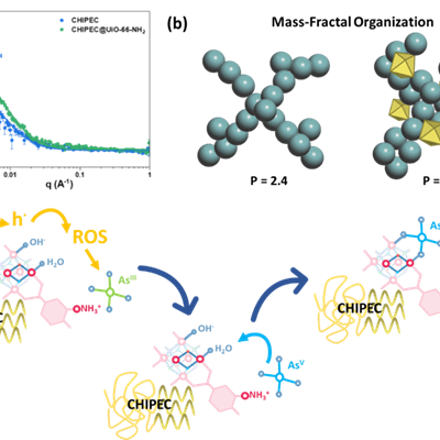 SANS curve showing a higher intensity for the q2.7 curve. Representations of the aggregates, showing yellow cubes included in th