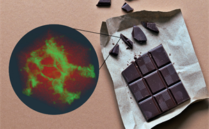 An image of a chocolate bar with a zoomed in  micro CT image