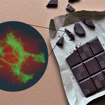 An image of a chocolate bar with a zoomed in  micro CT image