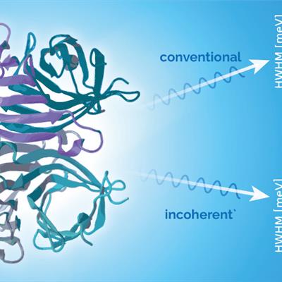 An unpolarised neutron beam travelling through a protein to produce conventional results, and a polarised leading to incoherent.