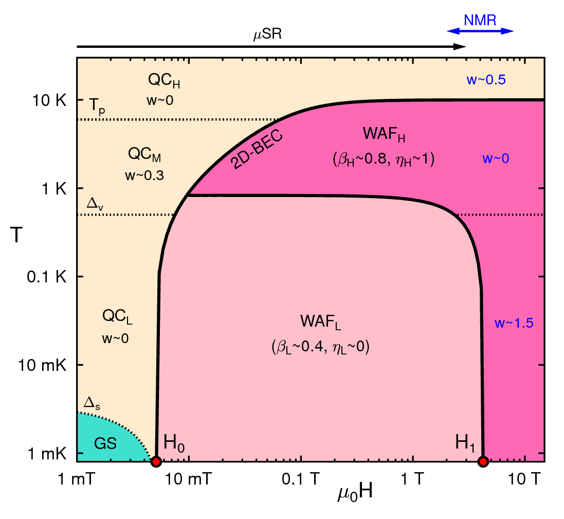 Magnetic field versus temperature phase diagram for κ-(BEDT-TTF)₂Cu₂(CN)₃, based on muon spin rotation experiments and including previous NMR and thermodynamic data