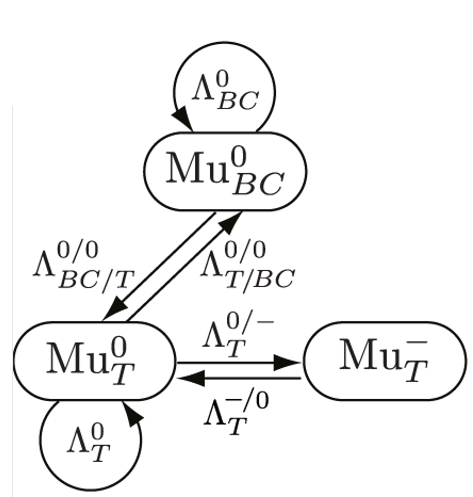 Model of Mu state exchange in 𝑛-GaAs. A superscript and subscript of Λ indicate the charge state and Mu site respectively, with a slash between before and after a transition.​