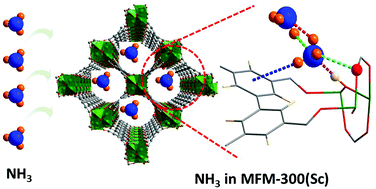 Graphic showing the binding of ammonia inside the pores of MFM-300(Sc).