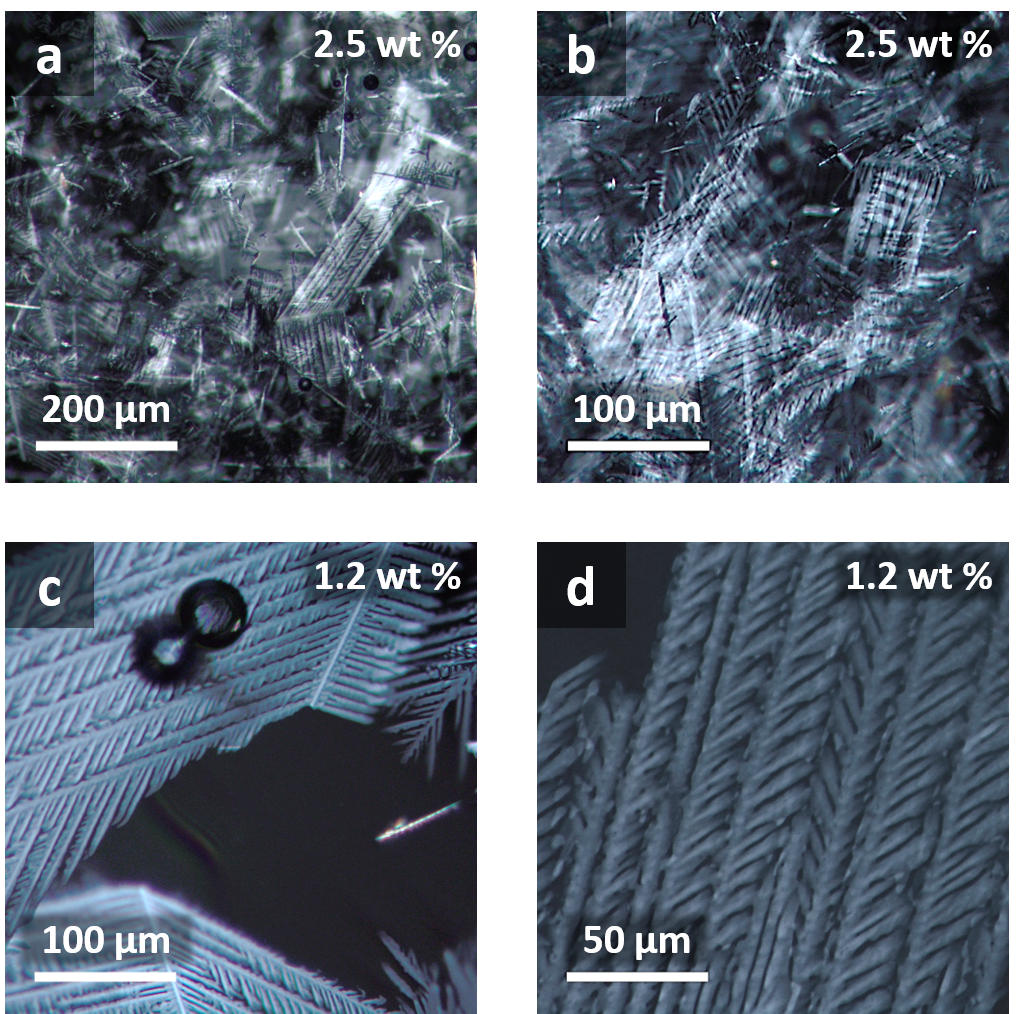 Microscopy images (labeled a–d) showing the crystallisation patterns of polymer composites at different weight percentages. Images (a) and (b) display complex spherulitic structures at 2.5 wt%, while images (c) and (d) reveal more defined, oriented crystalline features at 1.2 wt%. Scale bars range from 50 µm to 200 µm.