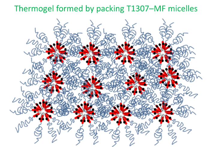 Picture of thermogel formed by packaging T1307-MF micelles