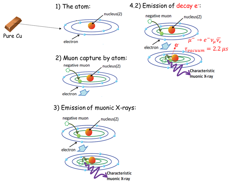 Elemental Analysis using Negative Muons Schematic Diagram